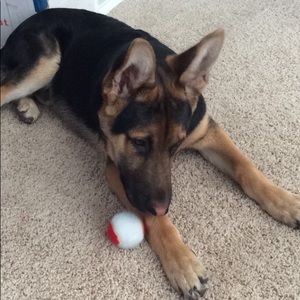 Meet your Posher, Ernestina